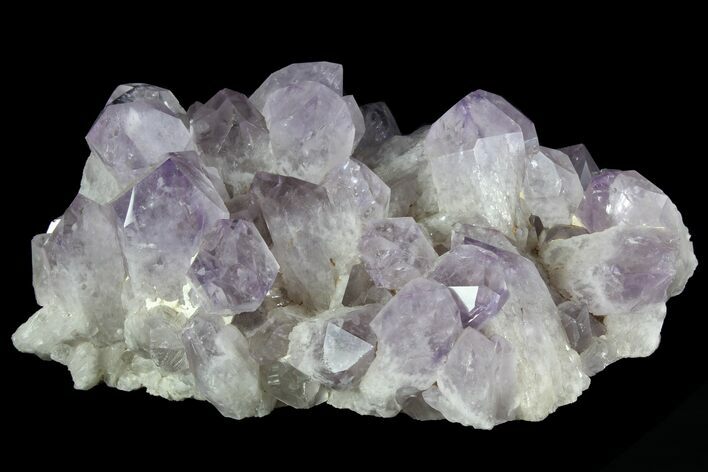 Stunning, Wide Amethyst Crystal Cluster - Large Points #78152